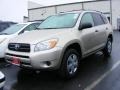 Beige Metallic - RAV4  Photo No. 1