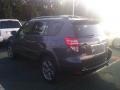 Magnetic Gray Metallic - RAV4 Sport Photo No. 5