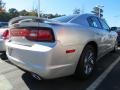 Bright Silver Metallic - Charger SE Photo No. 3