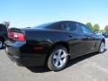 Pitch Black - Charger SE Photo No. 3