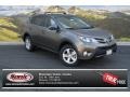 Pyrite Mica - RAV4 XLE AWD Photo No. 1
