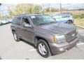 Desert Brown Metallic - TrailBlazer LT 4x4 Photo No. 3
