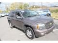 2008 Desert Brown Metallic Chevrolet TrailBlazer LT 4x4  photo #3