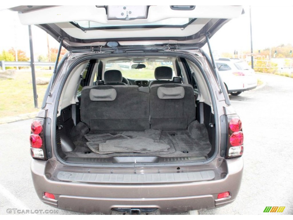 2008 TrailBlazer LT 4x4 - Desert Brown Metallic / Light Gray photo #8