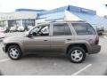 2008 Desert Brown Metallic Chevrolet TrailBlazer LT 4x4  photo #11