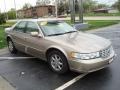 2001 Cashmere Cadillac Seville SLS  photo #3