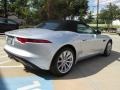 2014 Rhodium Silver Metallic Jaguar F-TYPE   photo #10