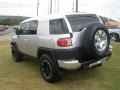 Titanium Metallic - FJ Cruiser 4WD Photo No. 9