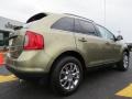 Ginger Ale Metallic - Edge Limited AWD Photo No. 7