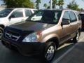 Mojave Mist Metallic - CR-V EX 4WD Photo No. 2