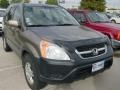 Mojave Mist Metallic - CR-V EX 4WD Photo No. 3