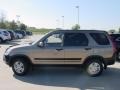 Mojave Mist Metallic - CR-V EX 4WD Photo No. 5