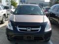 Mojave Mist Metallic - CR-V EX 4WD Photo No. 6