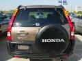 Mojave Mist Metallic - CR-V EX 4WD Photo No. 7