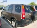 Mojave Mist Metallic - CR-V EX 4WD Photo No. 8