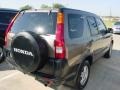 Mojave Mist Metallic - CR-V EX 4WD Photo No. 9