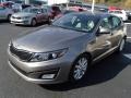 2014 Titanium Silver Kia Optima EX  photo #4