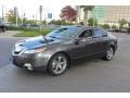 2009 Polished Metal Metallic Acura TL 3.7 SH-AWD  photo #2