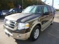 2008 Stone Green Metallic Ford Expedition EL Eddie Bauer 4x4  photo #6