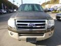 2008 Stone Green Metallic Ford Expedition EL Eddie Bauer 4x4  photo #7