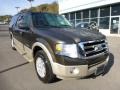 2008 Stone Green Metallic Ford Expedition EL Eddie Bauer 4x4  photo #8