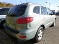 Natural Khaki Green - Santa Fe GLS Photo No. 4