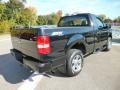 Black - F150 STX SuperCab 4x4 Photo No. 6