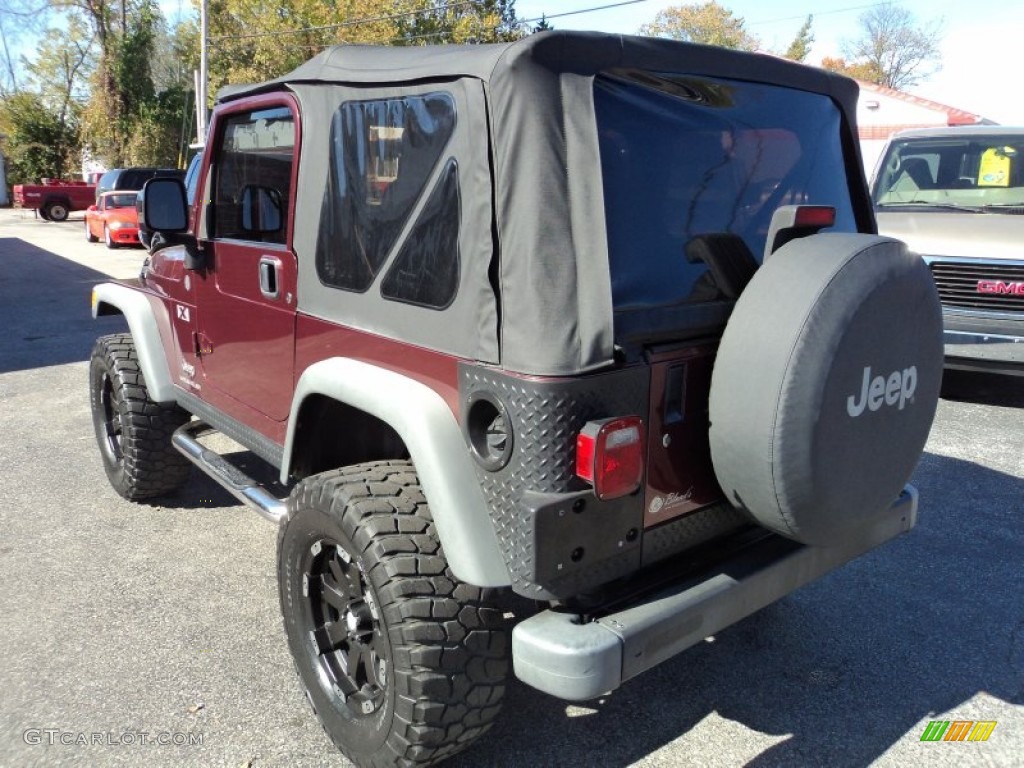 2004 Wrangler X 4x4 - Sienna Pearl / Dark Slate Gray photo #3