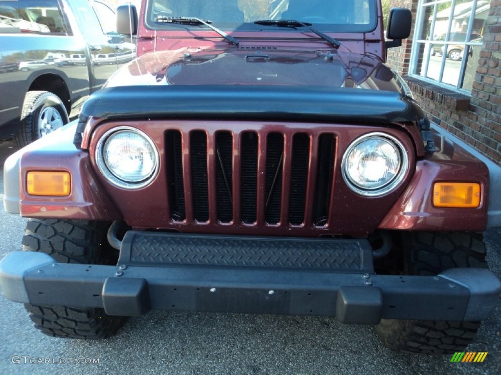 2004 Wrangler X 4x4 - Sienna Pearl / Dark Slate Gray photo #17