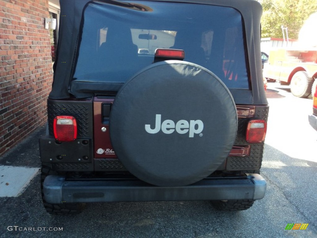 2004 Wrangler X 4x4 - Sienna Pearl / Dark Slate Gray photo #19