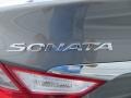 Harbor Gray Metallic - Sonata GLS Photo No. 13