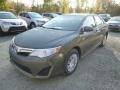 2014 Cypress Pearl Toyota Camry LE  photo #7