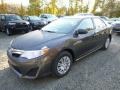 2014 Magnetic Gray Metallic Toyota Camry LE  photo #7