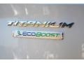 2014 Ingot Silver Ford Escape Titanium 2.0L EcoBoost  photo #21
