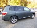 2013 Cypress Green Pearl Toyota Highlander Limited 4WD  photo #2