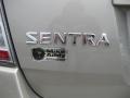 Sandstone Metallic - Sentra 2.0 S Photo No. 26