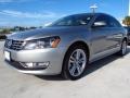 Platinum Gray Metallic - Passat TDI SE Photo No. 3