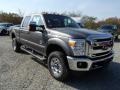 2014 Sterling Gray Metallic Ford F250 Super Duty XLT Crew Cab 4x4  photo #2