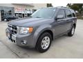 Sterling Gray Metallic - Escape Limited V6 Photo No. 1