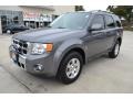 2012 Sterling Gray Metallic Ford Escape Limited V6  photo #1