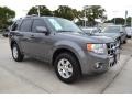 2012 Sterling Gray Metallic Ford Escape Limited V6  photo #7