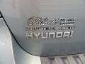 2009 Platinum Sage Hyundai Santa Fe Limited  photo #19
