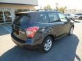 Dark Gray Metallic - Forester 2.5i Limited Photo No. 7