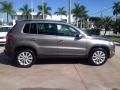 Alpine Gray Metallic - Tiguan SE Photo No. 6