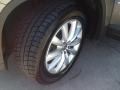 Alpine Gray Metallic - Tiguan SE Photo No. 13
