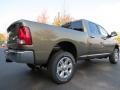 Prairie Pearl Coat - 2500 Big Horn Crew Cab 4x4 Photo No. 3