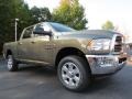 Prairie Pearl Coat - 2500 Big Horn Crew Cab 4x4 Photo No. 4
