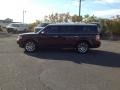 2009 Cinnamon Metallic Ford Flex Limited  photo #4