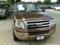 2011 Golden Bronze Metallic Ford Expedition XLT #87341822