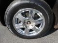 Linen Gold Metallic Pearl - Pacifica Touring Photo No. 21